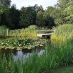 Parc des Impressionnistes - Rueil-Malmaison